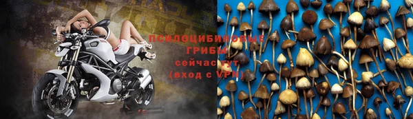 MDMA Premium VHQ Аркадак