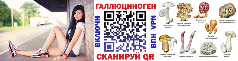 Галлюциногенные грибы Psilocybine cubensis  Новороссийск 